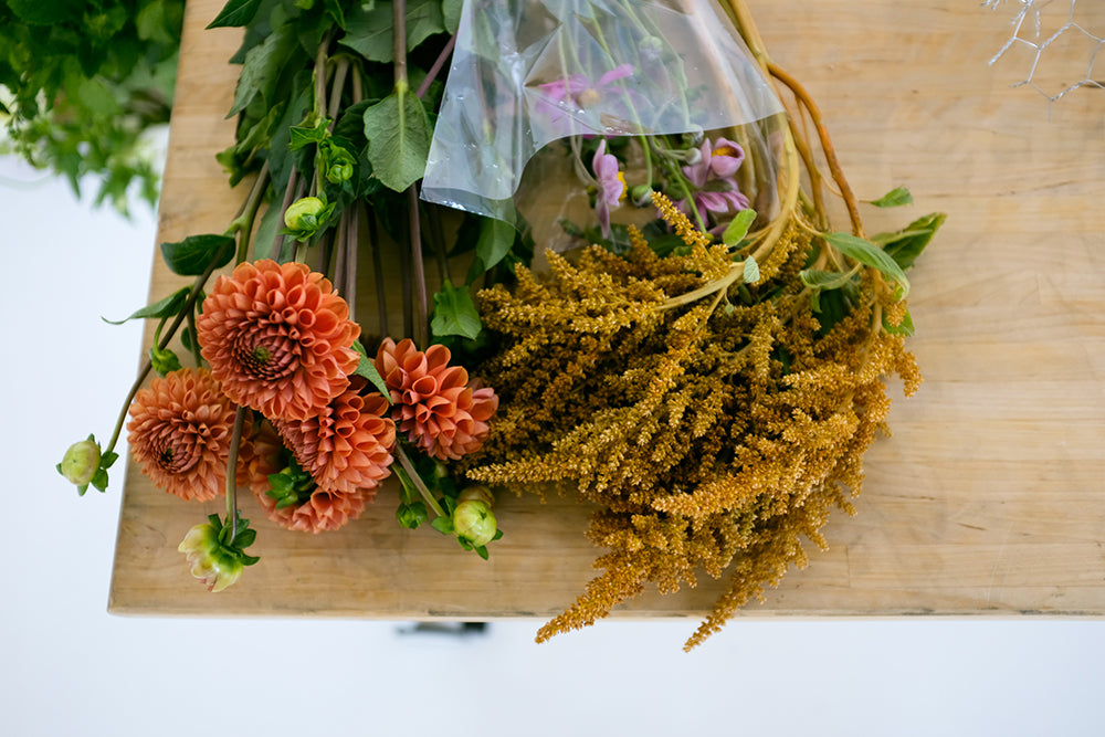 DIY Fall Florals with Haleigh.